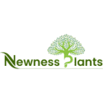 Untitled design - 2025-07-04T121450.772